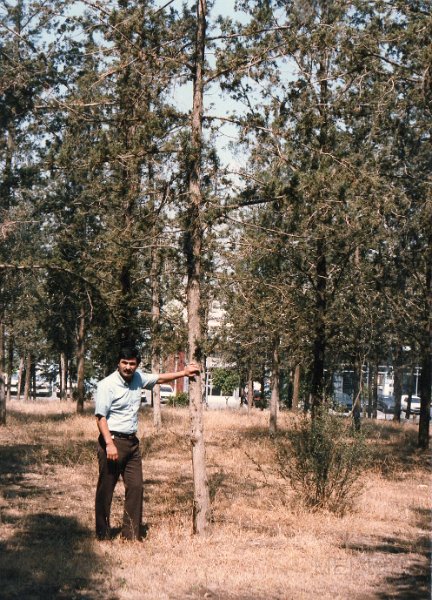 KoKo Gederian 1986 Cyprus.jpg