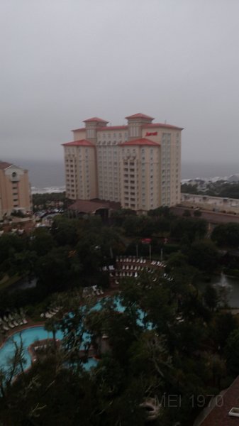 IMG_20151104_083338473.jpg