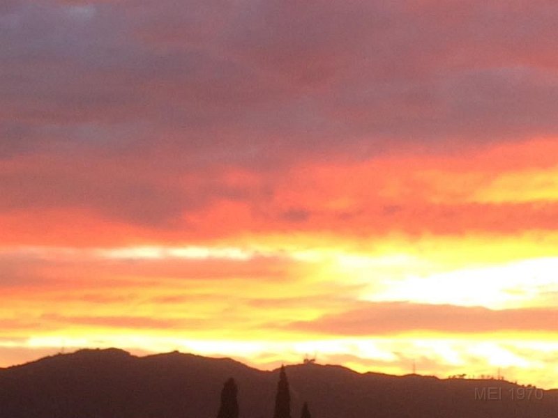 view from our backyard.jpg