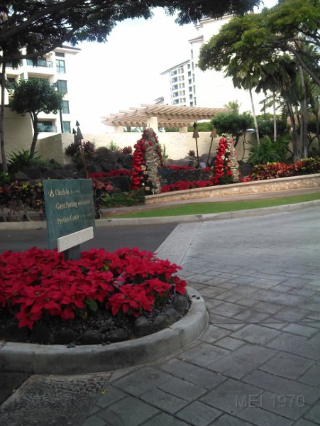 IMG_20141205_111051.jpg