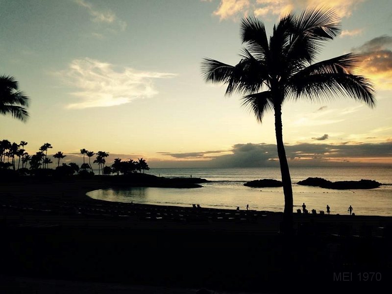 THE BEAUTY OF HAWAII.jpg