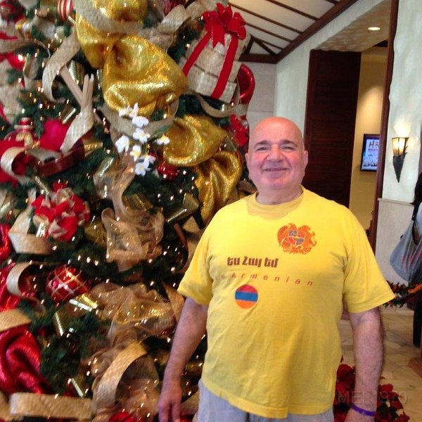 THE TREE IS UP.jpg