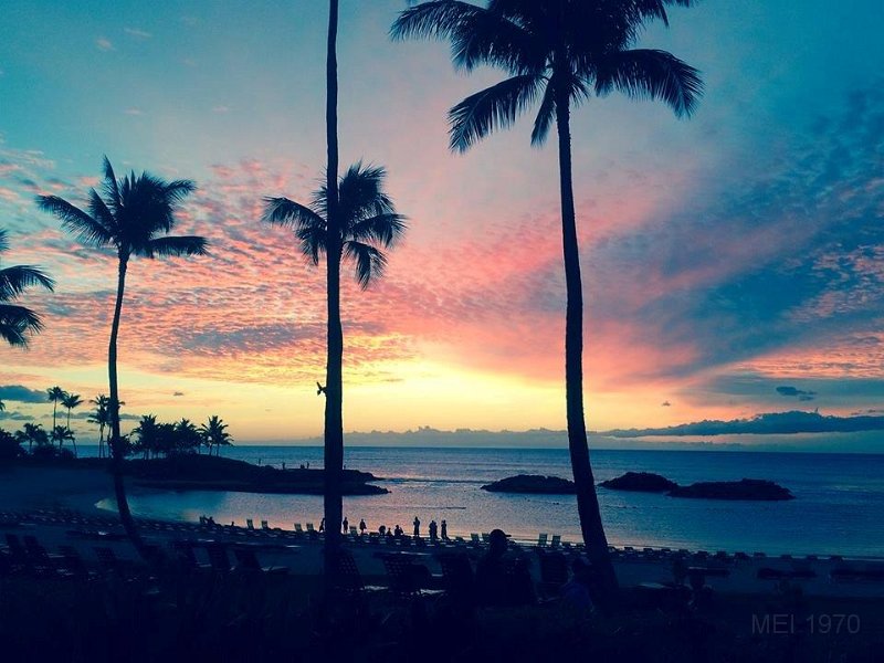 greetings from hawaii.jpg