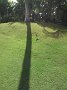 IMG_20141201_095752