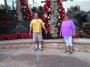 IMG_20141205_111616