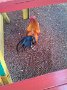IMG_20141205_131130