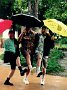 SINGING IN THE RAIN