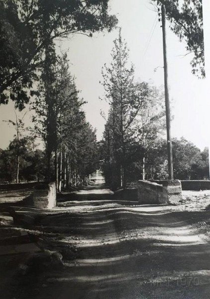 MELKONIANI HIVANTANOTSI JAMPAN--NAHADAG MEH YEVES-TrailOfClinic.jpg