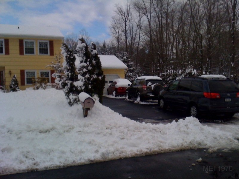 Snowed In - 01 27 11.jpg