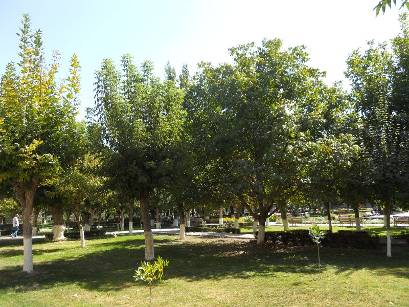 DSCN0310.JPG
