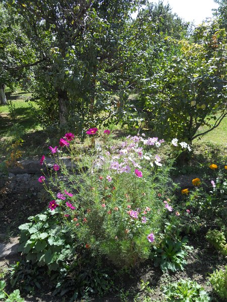 DSCN0324.JPG