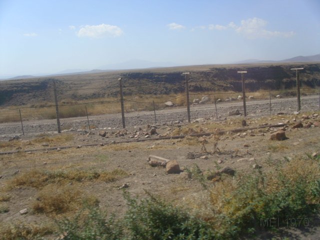 DSCI0211.JPG