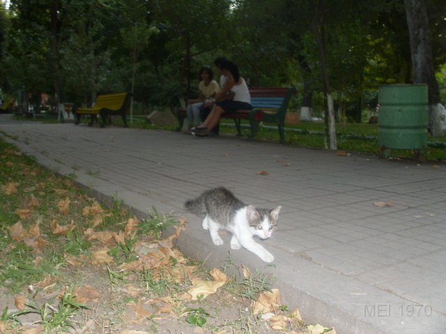 DSCI0262.JPG