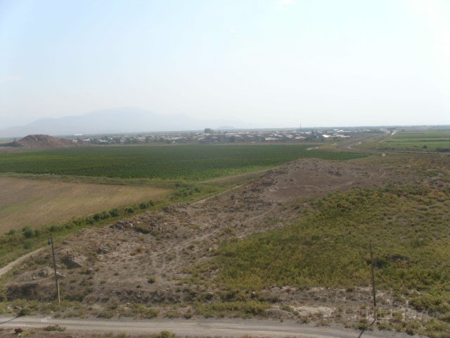 DSCI0328.JPG