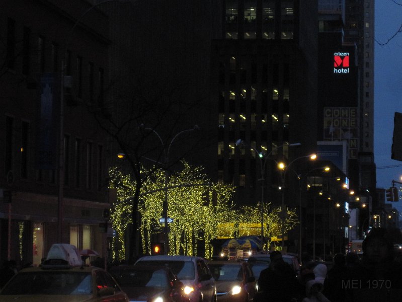 IMG_9989.JPG
