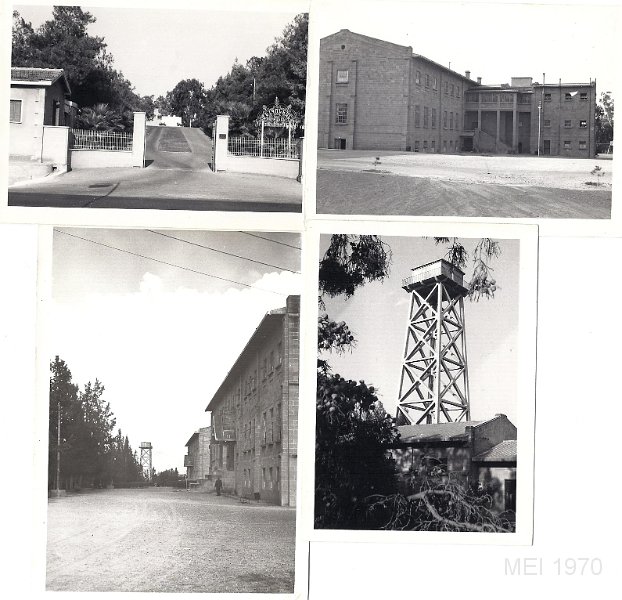1. MEI-1.jpg