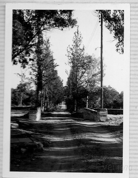 scan0053.jpg