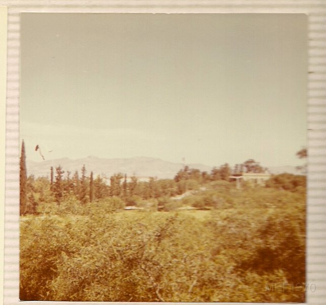 scan0060.jpg
