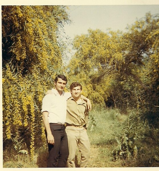 scan0069.jpg