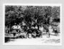 scan0042