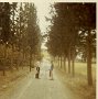 scan0068